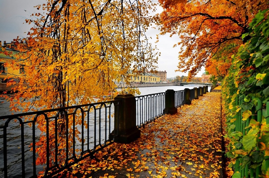 Петербург осенью: шесть фотолокаций с золотой листвой